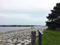 江戸川の写真・動画_image_84471