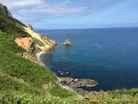 麺屋 彩未の写真・動画_image_84497