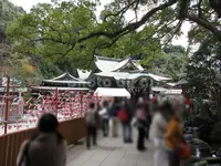 江の島の写真・動画_image_84572