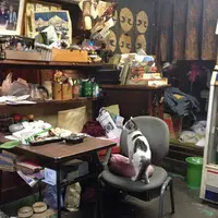 大木洋食店の写真・動画_image_84757