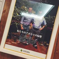 Mexican Dining AVOCADO 新宿三丁目店の写真・動画_image_84797