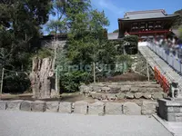 鶴岡八幡宮の写真・動画_image_84798