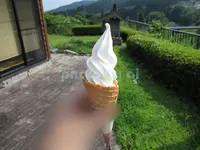 道の駅さとみの写真・動画_image_84875