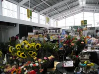 道の駅 保田小学校の写真・動画_image_84928