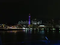 横浜港大さん橋国際客船ターミナル（大さん橋）の写真・動画_image_85087