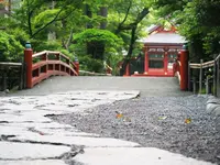 鶴岡八幡宮の写真・動画_image_85191