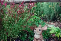 Ｃａｆｅ ふるーるの丘の写真・動画_image_85268