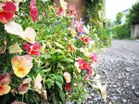 小町通りの写真・動画_image_85427