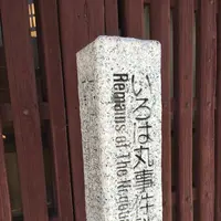 御舟宿　いろはの写真・動画_image_85603