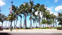 Segway of Hawaiiの写真・動画_image_85607
