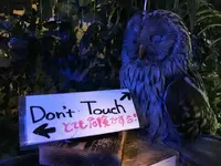 ふくろうカフェ アウルの森の写真・動画_image_85632
