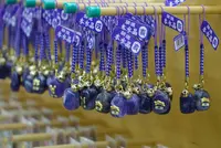 琉宮城蝶々園の写真・動画_image_85732
