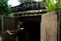 （株）多良川の写真・動画_image_85766
