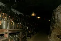 （株）多良川の写真・動画_image_85767