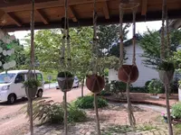 雑貨屋いちごやの写真・動画_image_86169