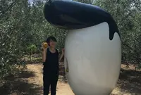 小豆島の写真・動画_image_86292