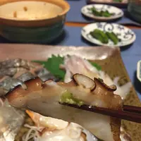魚恒の写真・動画_image_86328