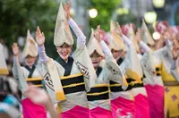 高円寺阿波踊りの写真・動画_image_86485