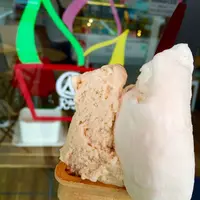 RAISEの写真・動画_image_87073