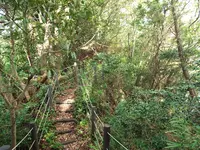 阿尾城跡の写真・動画_image_87158