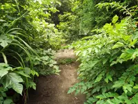 頭川トンネルの写真・動画_image_87161