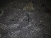 頭川トンネルの写真・動画_image_87167