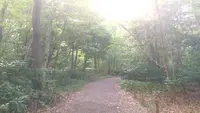 金沢城公園の写真・動画_image_87172