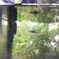 居醒の清水の写真・動画_image_87180