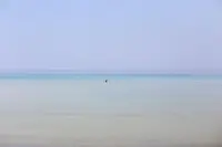 茂木浜海水浴場の写真・動画_image_87211