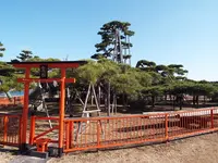 唐崎神社の写真・動画_image_87297