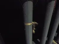 琵琶湖大橋の写真・動画_image_87322