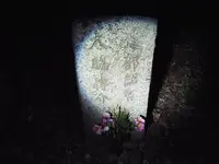 シガイの森の写真・動画_image_87339
