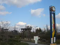 ひまわりの丘公園の写真・動画_image_87344