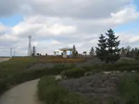 ひまわりの丘公園の写真・動画_image_87345