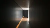 鈴木大拙館の写真・動画_image_87356