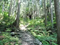 ２１世紀の森の写真・動画_image_87419