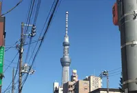 サクラホステル浅草の写真・動画_image_87490