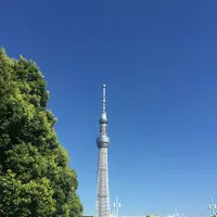 言問橋の写真・動画_image_87496