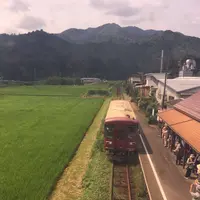郡上八幡の水屋の写真・動画_image_87525