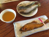 板取川洞戸観光ヤナ（株）の写真・動画_image_87611