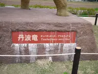 丹波恐竜公園の写真・動画_image_87788