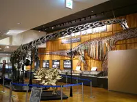 丹波竜化石工房ちーたんの館の写真・動画_image_87808