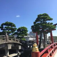 鶴岡八幡宮の写真・動画_image_87942
