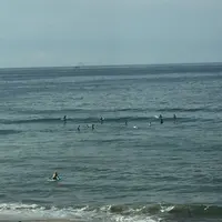 bills 七里ヶ浜の写真・動画_image_87956