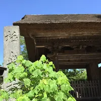 極楽寺の写真・動画_image_87960