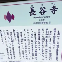 長谷寺の写真・動画_image_87963