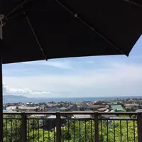 長谷寺の写真・動画_image_87965