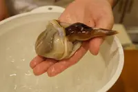 なみじの写真・動画_image_88059