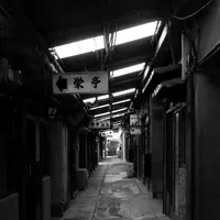 大垣駅前商店街探検の写真・動画_image_88107