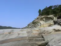 足摺海底館の写真・動画_image_88127